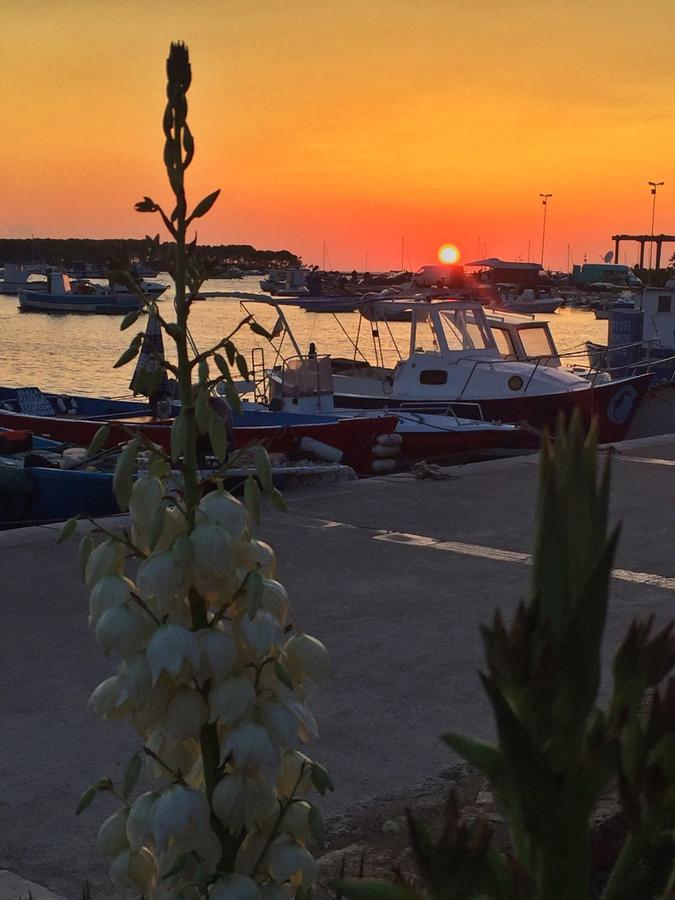 La Casa Di Ada E Gigi Vacanze Porto Cesareo Esterno foto